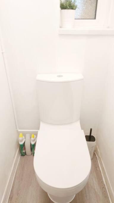 Central London Spacious Flat With 2 To 3 Bedrooms المظهر الخارجي الصورة